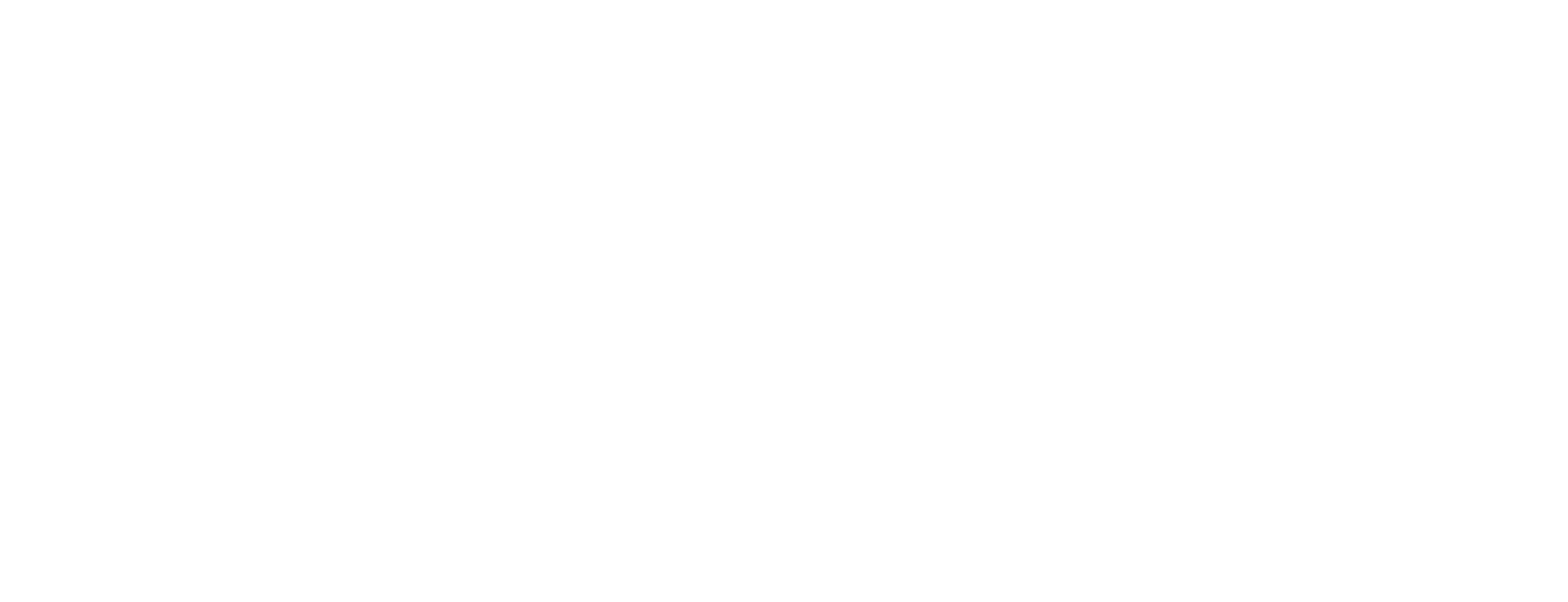 Fastest Mini in the World logo